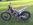 Trial Action Beta Evo
